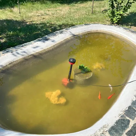 Cozy Quiet Retreat 70km From Sofia 캠프장 큐스텐딜