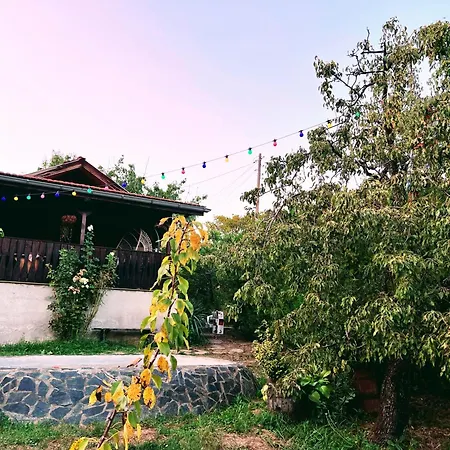 Cozy Quiet Retreat 70km From Sofia 캠프장 큐스텐딜