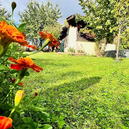 Camping Cozy Quiet Retreat 70km From Sofia Kjustendil