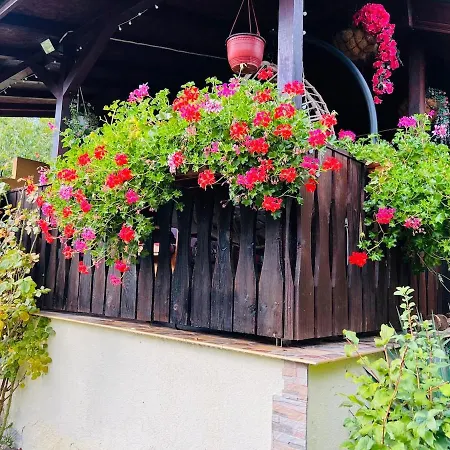 Camping Cozy Quiet Retreat 70km From Sofia *