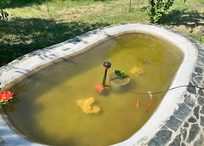 Cozy Quiet Retreat 70km From Sofia Къмпинг Кюстендил